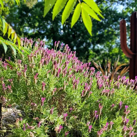 La Grange Oceane & Piscine Chauffee En Saison *