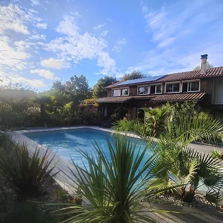 Apartment La Grange Oceane & Piscine Chauffee En Saison Lège-Cap-Ferret