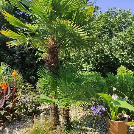 La Grange Oceane & Piscine Chauffee En Saison * Lège-Cap-Ferret