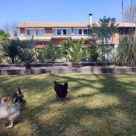 La Grange Oceane - Climatisation & Piscine Chauffee En Saison * Lège-Cap-Ferret