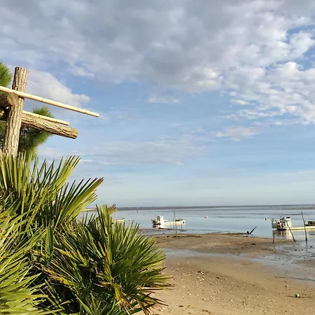 La Grange Oceane Spa, Clim & Piscine Chauffee En Saison Lège-Cap-Ferret