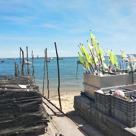 La Grange Oceane & Piscine Chauffee En Saison Apartment