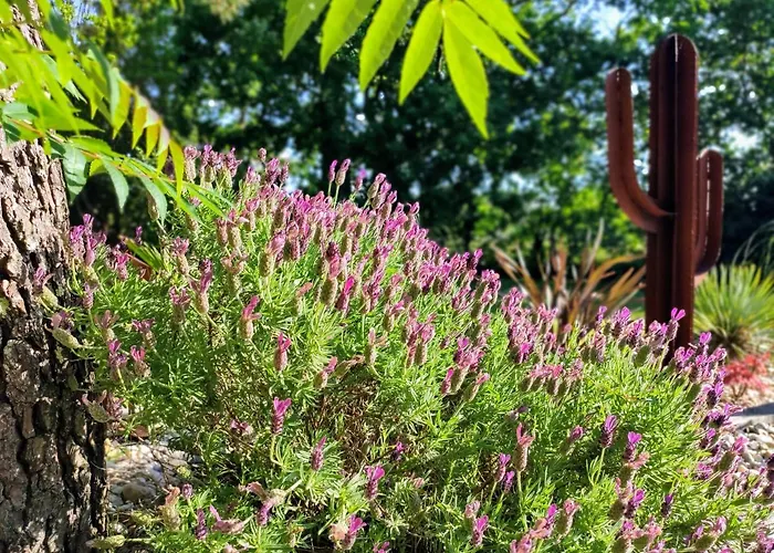 La Grange Oceane & Piscine Chauffee En Saison *
