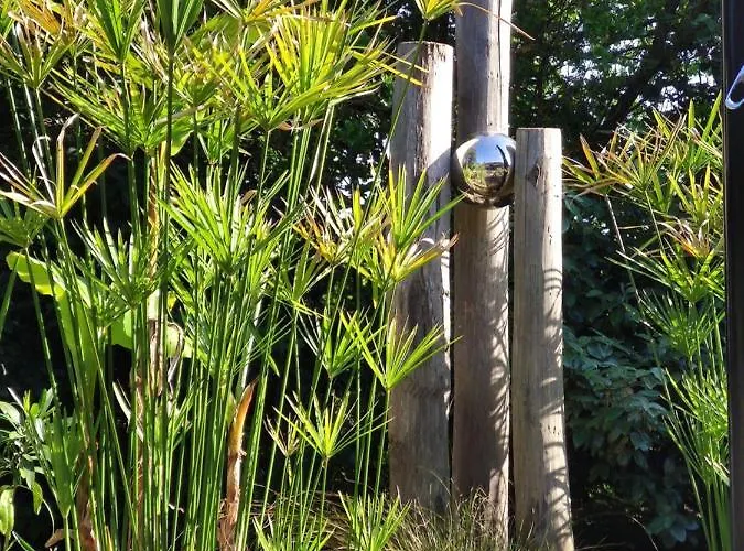 Apartamento La Grange Oceane & Piscine Chauffee En Saison Lège-Cap-Ferret