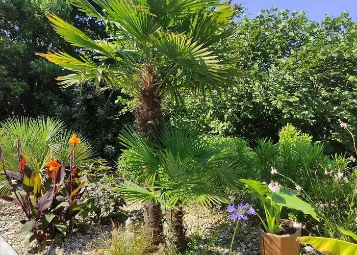La Grange Oceane & Piscine Chauffee En Saison * Lège-Cap-Ferret