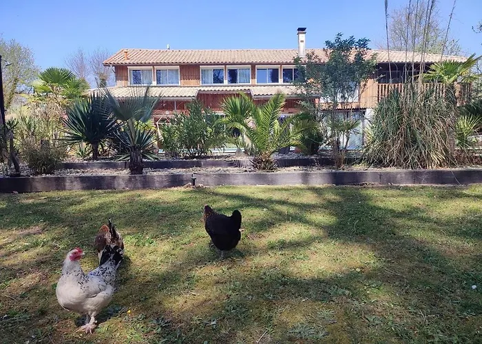 La Grange Oceane Spa, Clim & Piscine Chauffee En Saison * Lège-Cap-Ferret