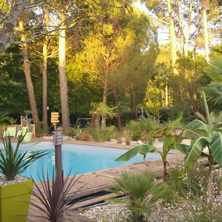 Apartment La Grange Oceane - Climatisation & Piscine Chauffee En Saison