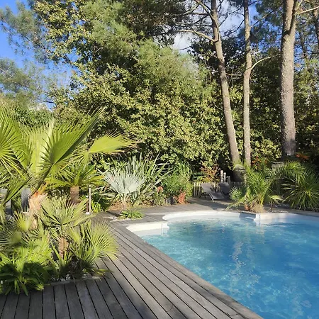 La Grange Oceane Spa, Clim & Piscine Chauffee En Saison * Lège-Cap-Ferret